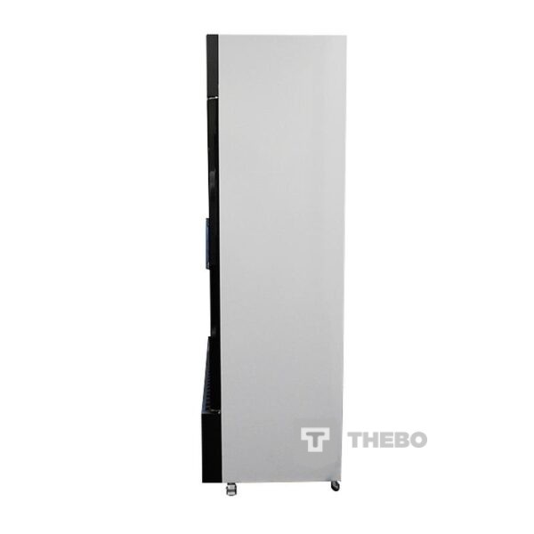 Glasdeur koelkast Combisteel 7455.2110 - 6