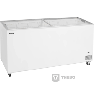 IJsconservator Tefcold IC551SC